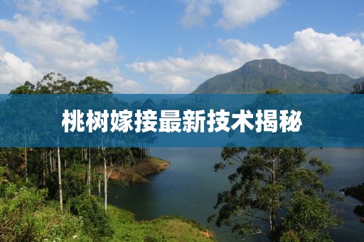 初遇在故事開頭 第27頁