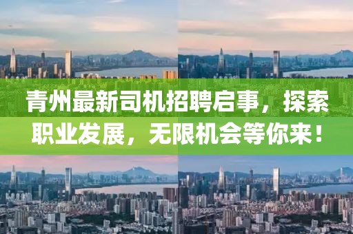 青州最新司機招聘啟事,探索職業發展,無限機會等你來!