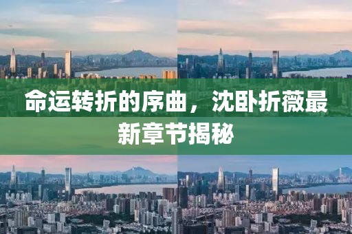 命運轉(zhuǎn)折的序曲,沈臥折薇最新章節(jié)揭秘