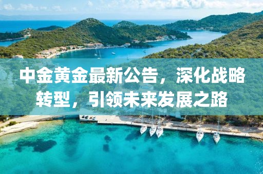 中金黃金最新公告,深化戰略轉型,引領未來發展之路