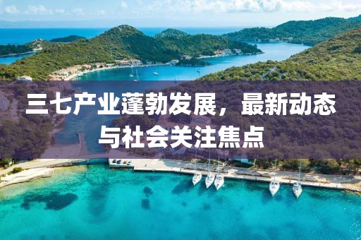 三七產(chǎn)業(yè)蓬勃發(fā)展,最新動(dòng)態(tài)與社會(huì)關(guān)注焦點(diǎn)
