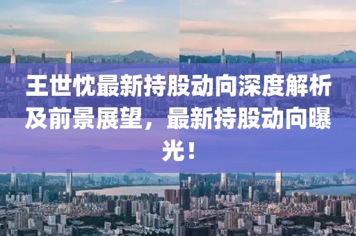 王世忱最新持股動(dòng)向深度解析及前景展望，最新持股動(dòng)向曝光！