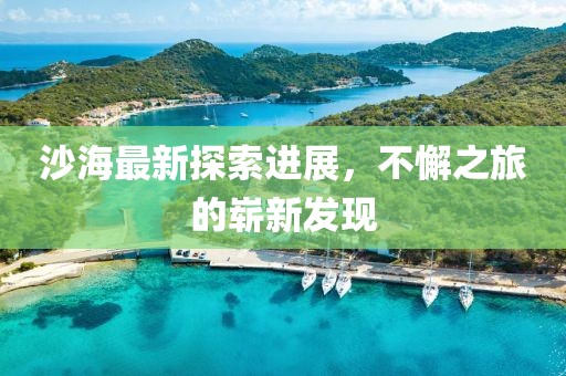 沙海最新探索進展,不懈之旅的嶄新發現