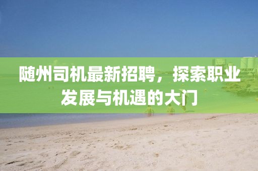 隨州司機最新招聘,探索職業(yè)發(fā)展與機遇的大門