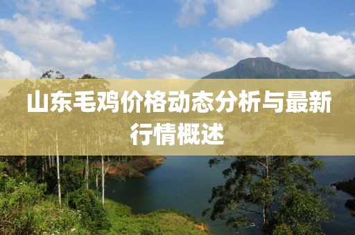山東毛雞價格動態分析與最新行情概述