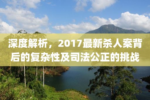 深度解析,2017最新殺人案背后的復雜性及司法公正的挑戰