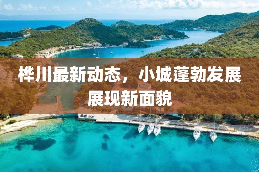 樺川最新動(dòng)態(tài),小城蓬勃發(fā)展展現(xiàn)新面貌