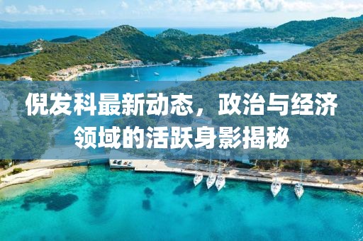 倪發科最新動態,政治與經濟領域的活躍身影揭秘