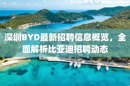 深圳BYD最新招聘信息概覽,全面解析比亞迪招聘動態