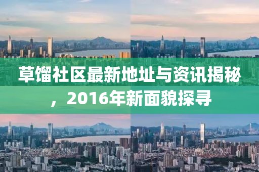 草餾社區最新地址與資訊揭秘,2016年新面貌探尋