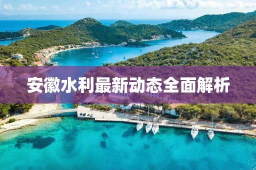 安徽水利最新動態(tài)全面解析