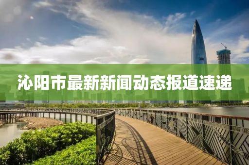 沁陽市最新新聞動態報道速遞