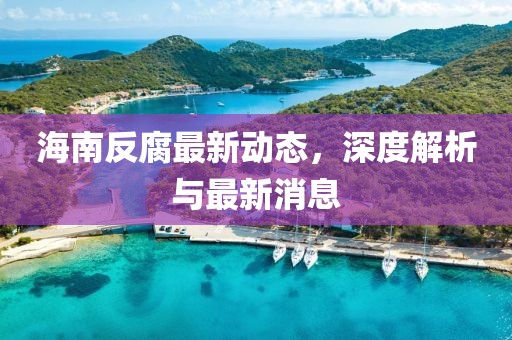 海南反腐最新動態(tài),深度解析與最新消息