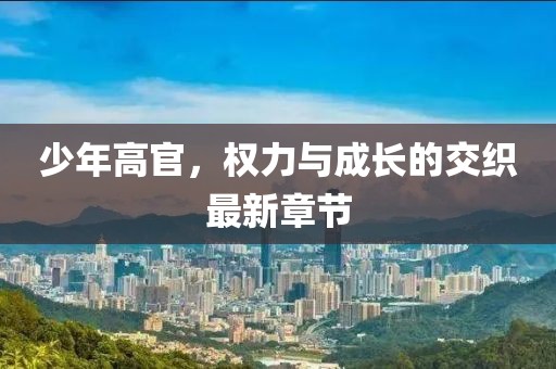 少年高官，權力與成長的交織最新章節