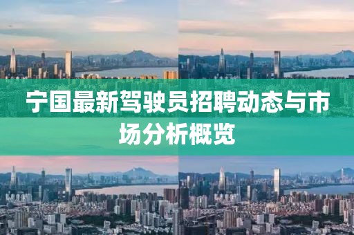 寧國最新駕駛員招聘動態與市場分析概覽