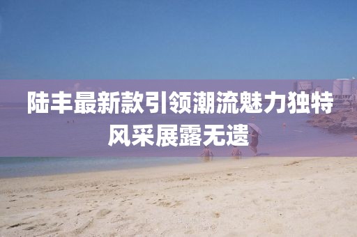 陸豐最新款引領潮流魅力獨特風采展露無遺