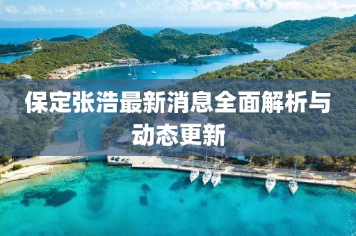 保定張浩最新消息全面解析與動態更新