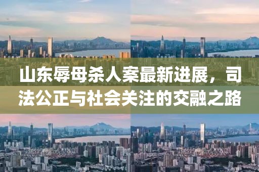 山東辱母殺人案最新進展,司法公正與社會關注的交融之路