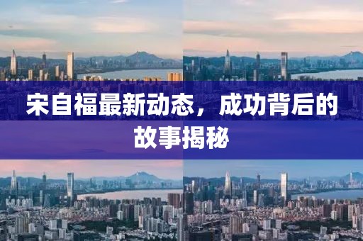 宋自福最新動態,成功背后的故事揭秘
