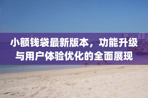 小額錢袋最新版本,功能升級(jí)與用戶體驗(yàn)優(yōu)化的全面展現(xiàn)