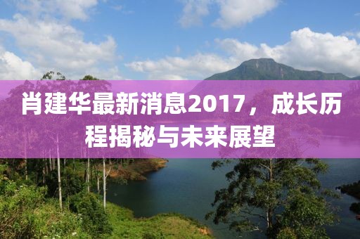 肖建華最新消息2017,成長歷程揭秘與未來展望