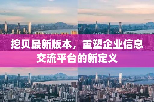 挖貝最新版本，重塑企業信息交流平臺的新定義