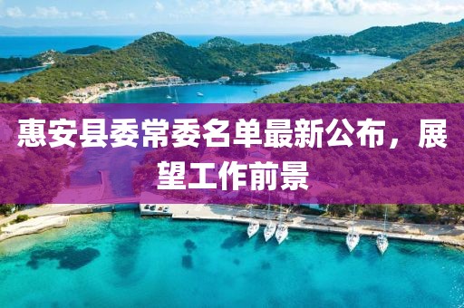 惠安縣委常委名單最新公布,展望工作前景
