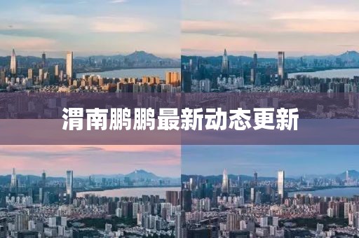 渭南鵬鵬最新動態(tài)更新