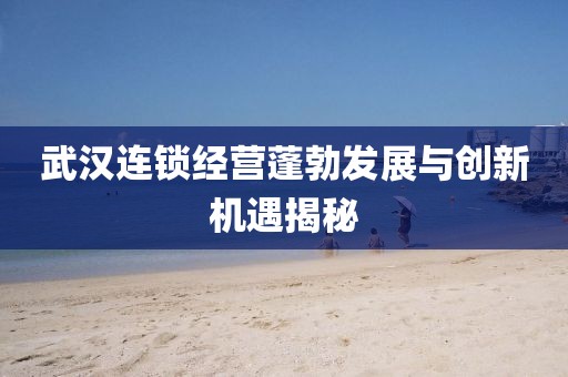 武漢連鎖經(jīng)營蓬勃發(fā)展與創(chuàng)新機(jī)遇揭秘