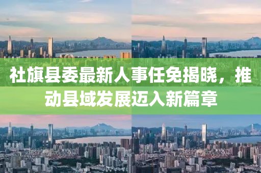 社旗縣委最新人事任免揭曉,推動(dòng)縣域發(fā)展邁入新篇章