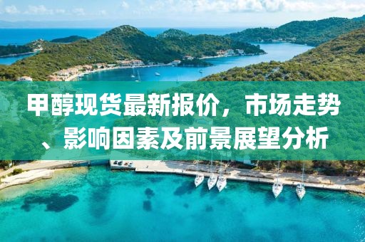 甲醇現貨最新報價,市場走勢、影響因素及前景展望分析