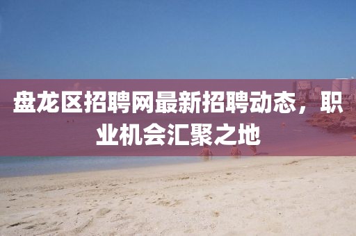 盤龍區(qū)招聘網(wǎng)最新招聘動(dòng)態(tài),職業(yè)機(jī)會(huì)匯聚之地