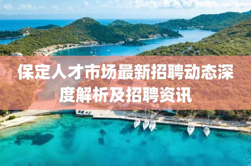 保定人才市場最新招聘動態深度解析及招聘資訊
