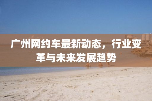 廣州網約車最新動態,行業變革與未來發展趨勢
