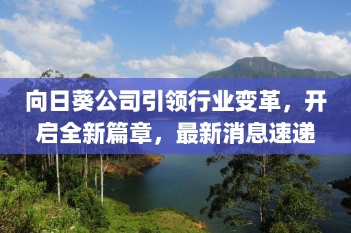 向日葵公司引領(lǐng)行業(yè)變革，開啟全新篇章，最新消息速遞