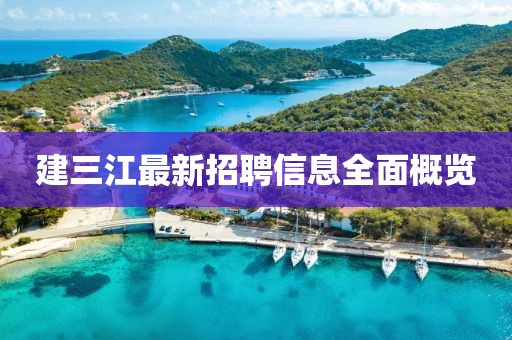 建三江最新招聘信息全面概覽