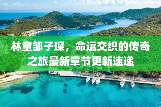 林童鄒子琛,命運交織的傳奇之旅最新章節(jié)更新速遞