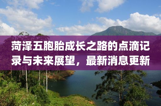 菏澤五胞胎成長之路的點滴記錄與未來展望,最新消息更新