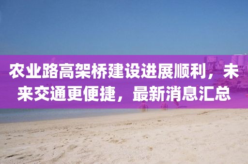 農業路高架橋建設進展順利,未來交通更便捷,最新消息匯總