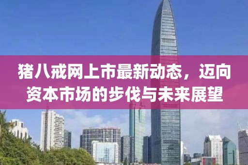 豬八戒網上市最新動態,邁向資本市場的步伐與未來展望