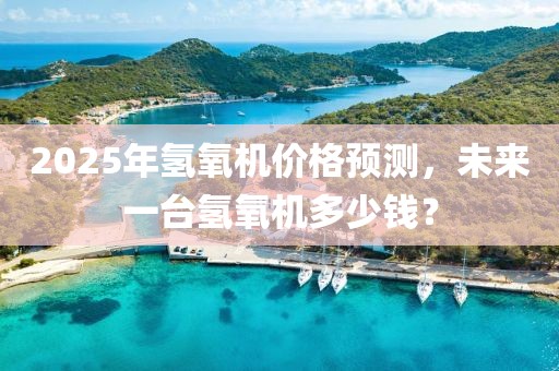 2025年氫氧機價格預(yù)測,未來一臺氫氧機多少錢?