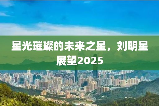 星光璀璨的未來之星,劉明星展望2025