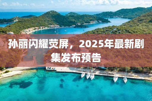 孫麗閃耀熒屏,2025年最新劇集發布預告