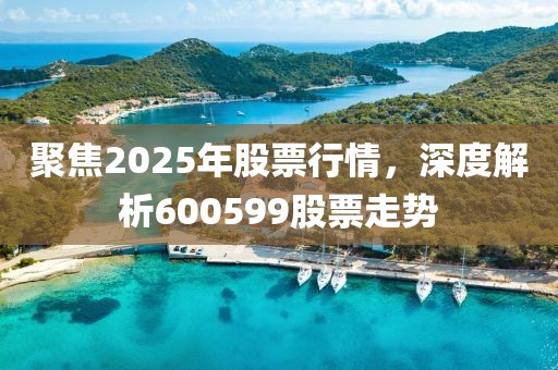 聚焦2025年股票行情，深度解析600599股票走勢