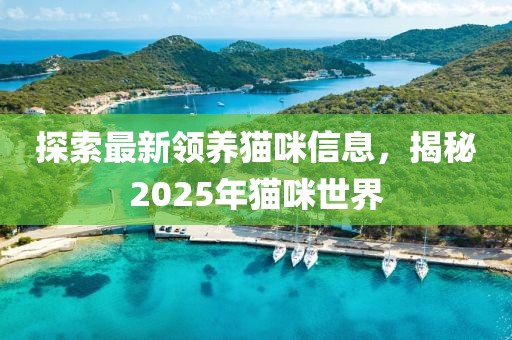 探索最新領養貓咪信息，揭秘2025年貓咪世界