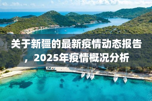 關于新疆的最新疫情動態報告，2025年疫情概況分析