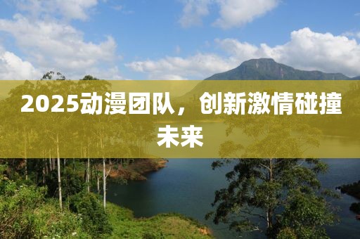 2025動漫團隊,創新激情碰撞未來