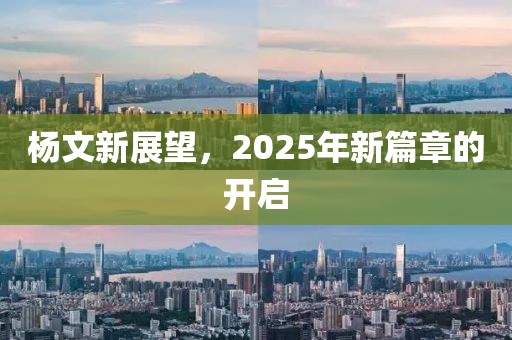 楊文新展望，2025年新篇章的開啟