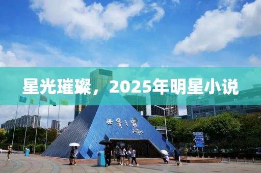 星光璀璨,2025年明星小說