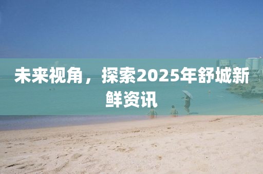 未來視角,探索2025年舒城新鮮資訊